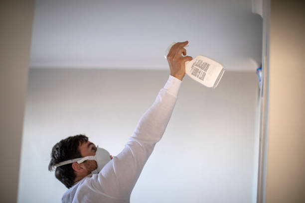 Best Home Mold Removal  in Manana, HI