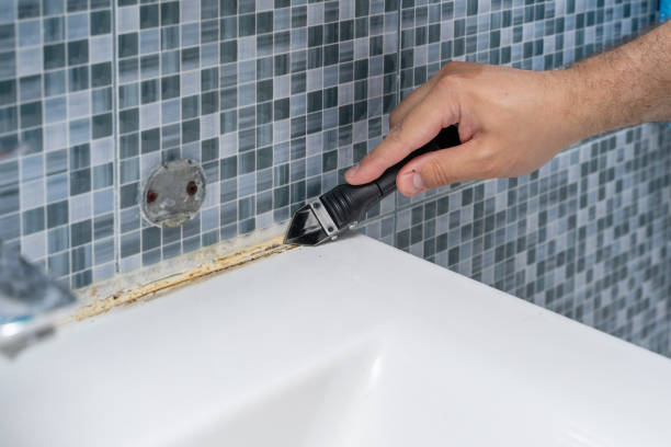 Best Emergency Mold Removal  in Manana, HI