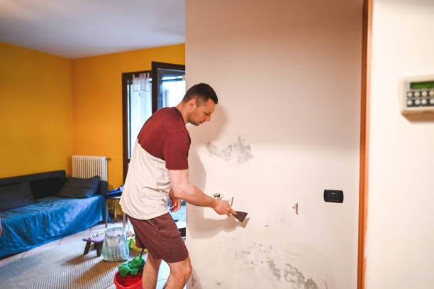Professional Mold Removal in Mahinahina, HI