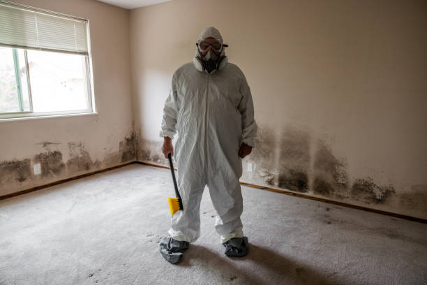 Best Certified Mold Removal  in Manana, HI